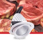 Prelux Eurospot Food Display Tiltable LED Downlight