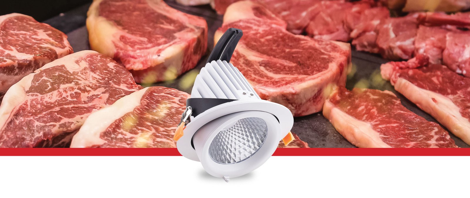 Eurospot-Meat-Display-LED-Downlight-Banner Prelux Eurospot Food Display Tiltable LED Downlight